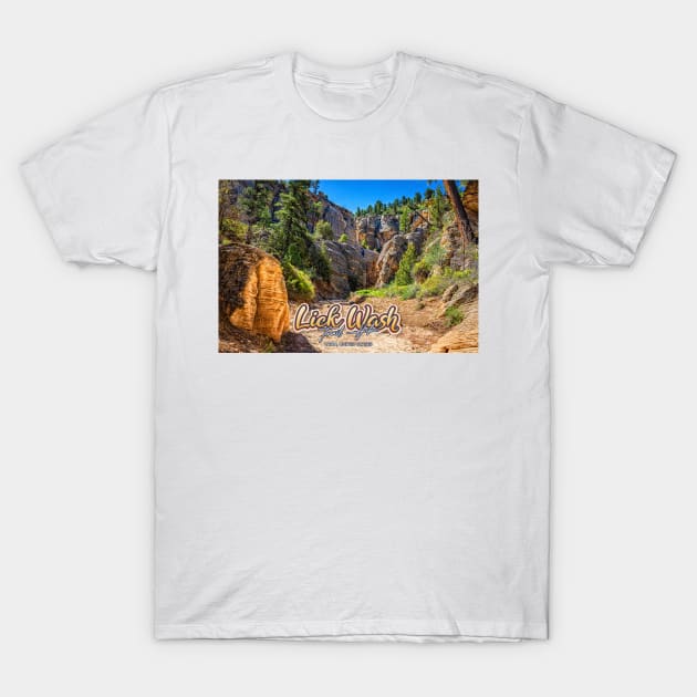 Lick Wash Trail Hike T-Shirt by Gestalt Imagery